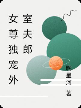 女尊独宠外室夫郎