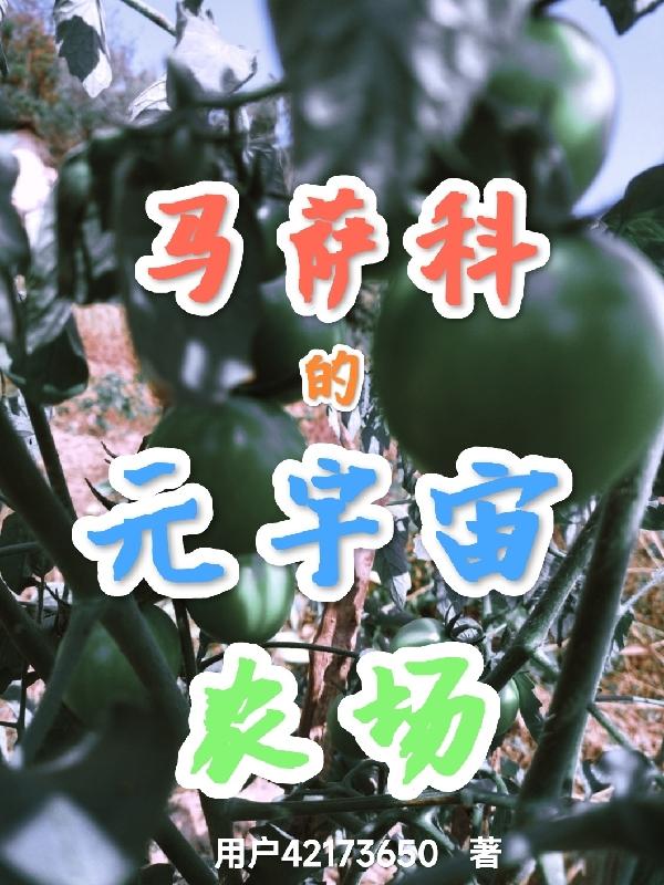 马萨科的元宇宙农场小说阅读