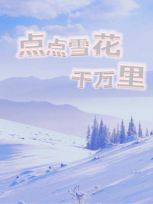 点点雪花千万里小说阅读