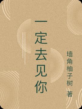 一定去见你