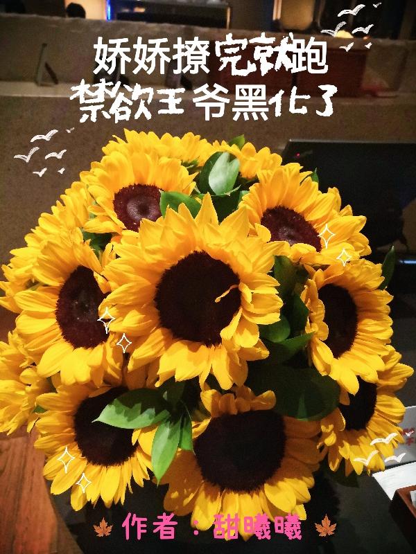 娇娇撩完就跑，禁欲王爷黑化了