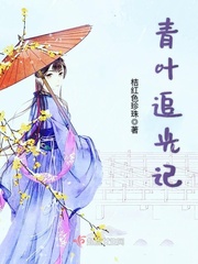 青叶追光记小说阅读