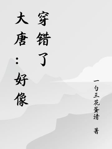 大唐:好像穿错了