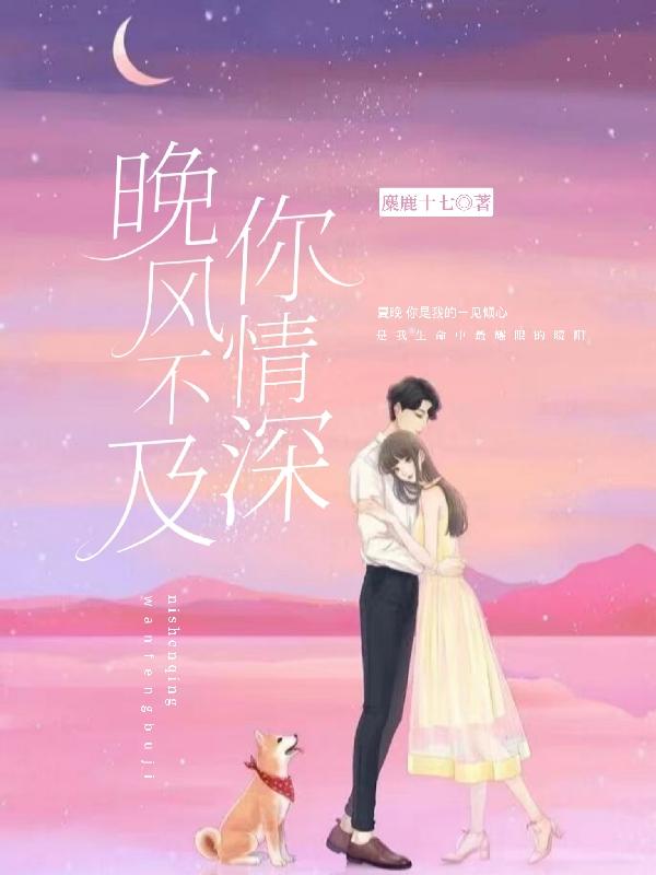 晚风不及你情深小说阅读