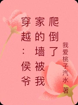 穿越：侯爷家的墙被我爬倒了