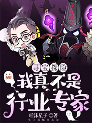 寻宝探险：我真不是行业专家