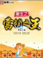 重生之营销之王小说阅读
