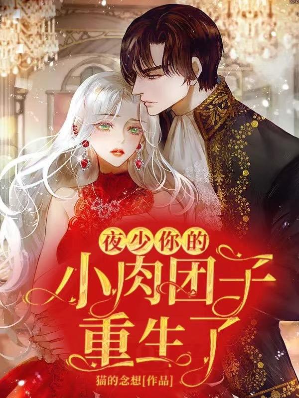 夜少，你的小肉团子重生了