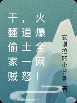 干翻偷家贼，道士一怒火爆全网！