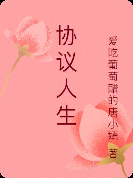 协议人生小说阅读