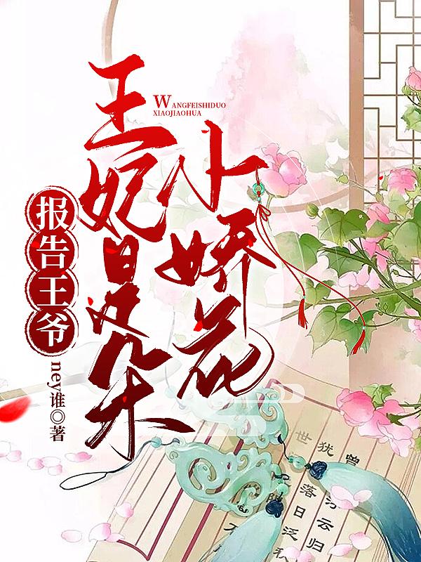 报告王爷，王妃是朵小娇花小说阅读