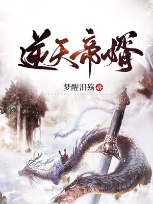 逆天帝婿.