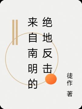来自南明的绝地反击