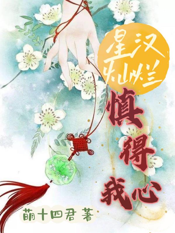 星汉灿烂，慎得我心小说阅读