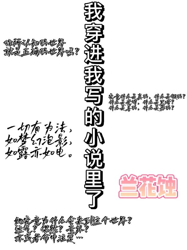 我穿进我写的小说里了！