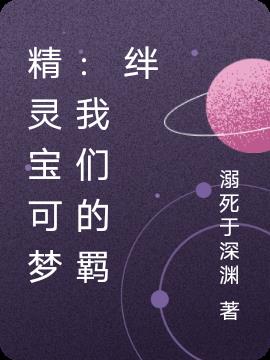 精灵宝可梦：我们的羁绊