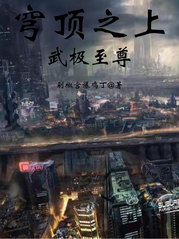 穹顶之上：武极至尊小说阅读