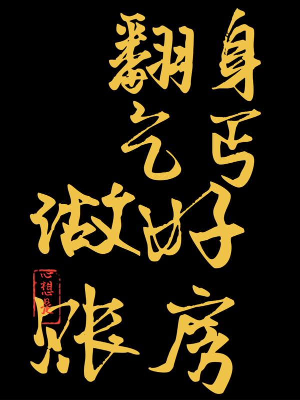 翻身乞丐做好账房