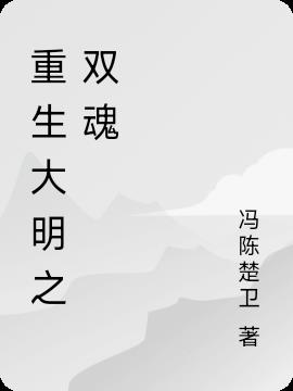 重生大明之双魂