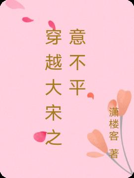 穿越大宋之意不平