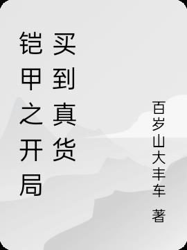 铠甲之开局买到真货