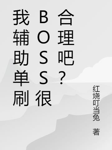 我辅助单刷BOSS很合理吧？