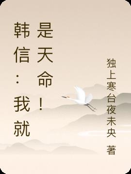 韩信：我就是天命！