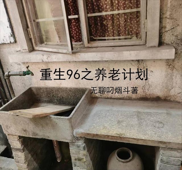 重生96之养老计划