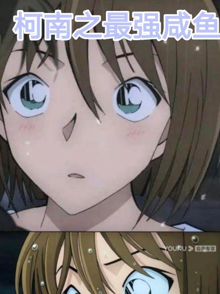 柯南之最强咸鱼