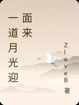 一道月光迎面来