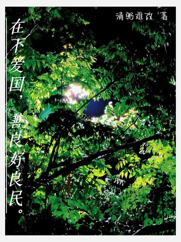 在下爱国善良好良民