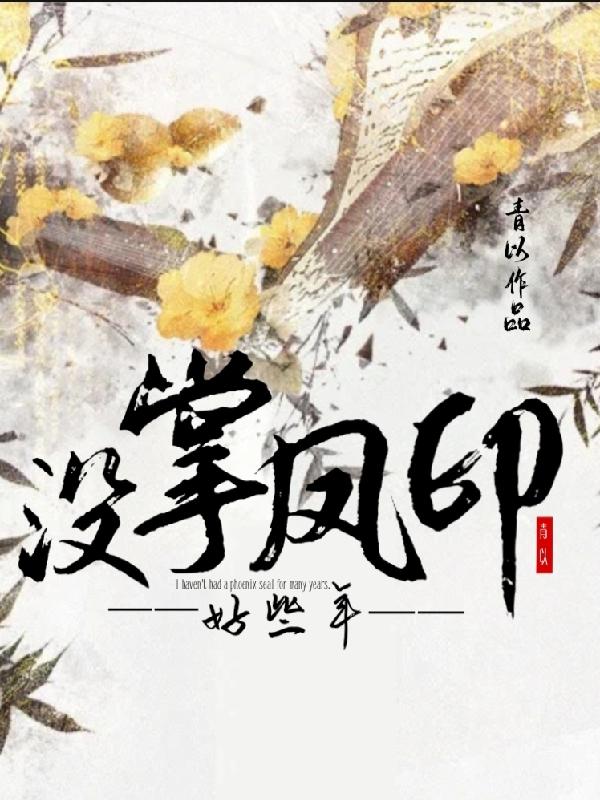 没掌凤印好些年