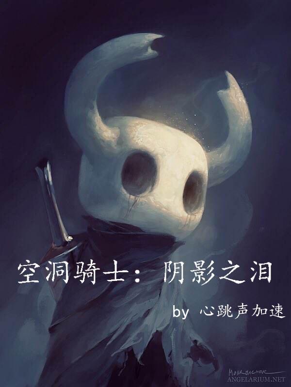 空洞骑士：阴影之泪