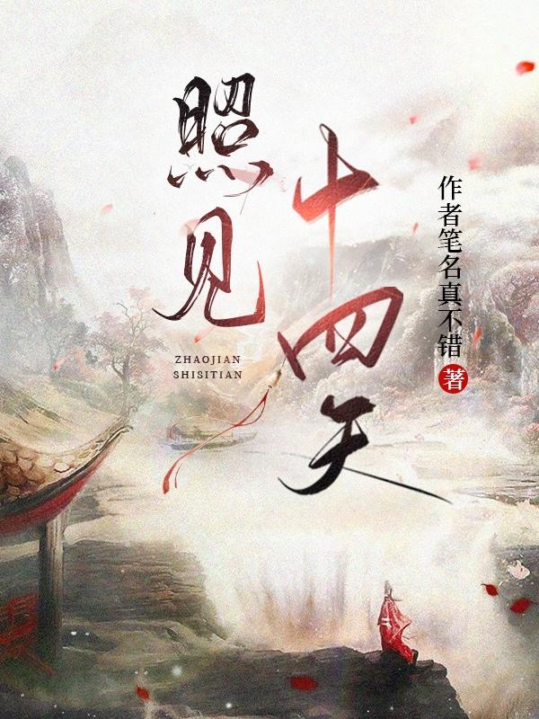 照见十四天小说阅读