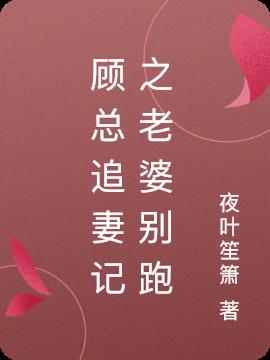 顾总追妻记之老婆别跑