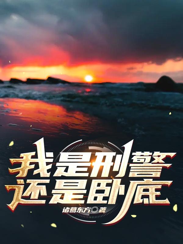 我是刑警还是卧底