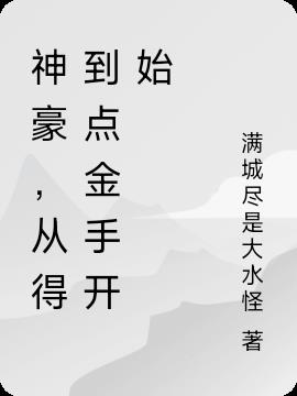 神豪，从得到点金手开始