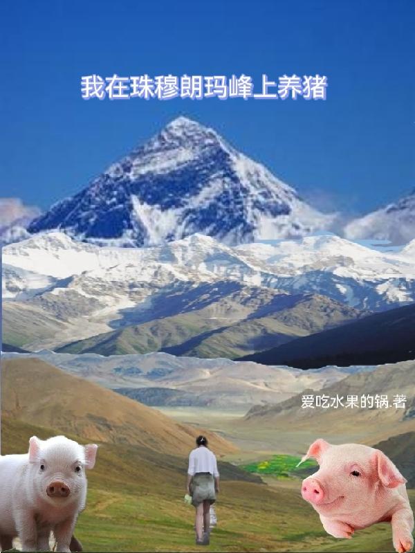 我在珠穆朗玛峰上养猪