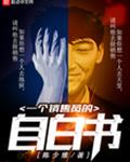 一个销售员的自白书小说阅读