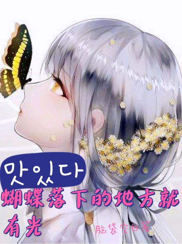 蝴蝶落下的地方就有光