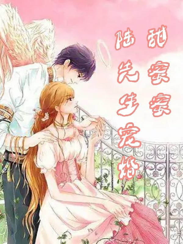 陆先生宠婚甜蜜蜜