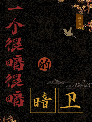 一个很暗很暗的暗卫小说阅读