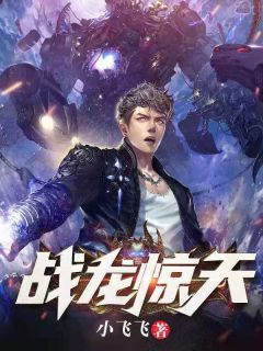 战龙惊天小说阅读