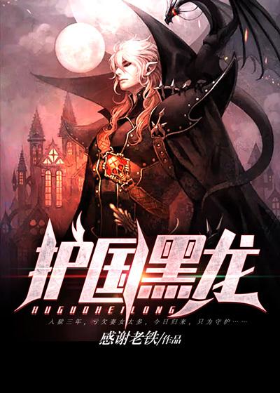 护国黑龙小说阅读