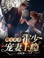 萌宝来袭,霍少宠妻上瘾