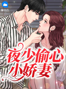 夜少偷心小娇妻沈琦夜墨轩小说阅读