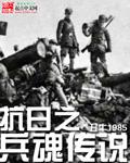 抗日之兵魂传说小说阅读