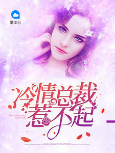 冷情总裁惹不起南枝枝