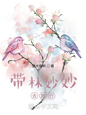带林妙妙去旅行小说阅读