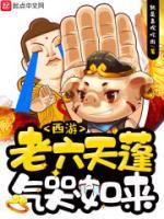 西游：老六天蓬气哭如来小说阅读
